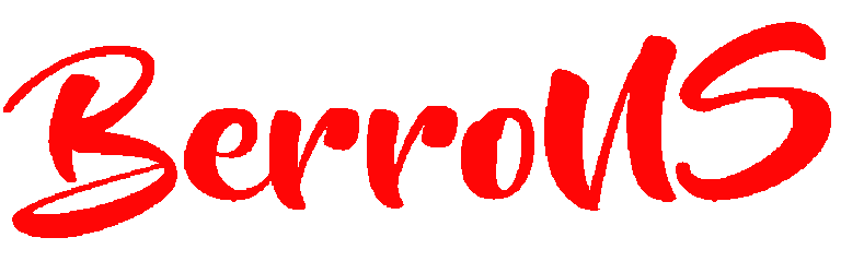лого-мой BerroNS